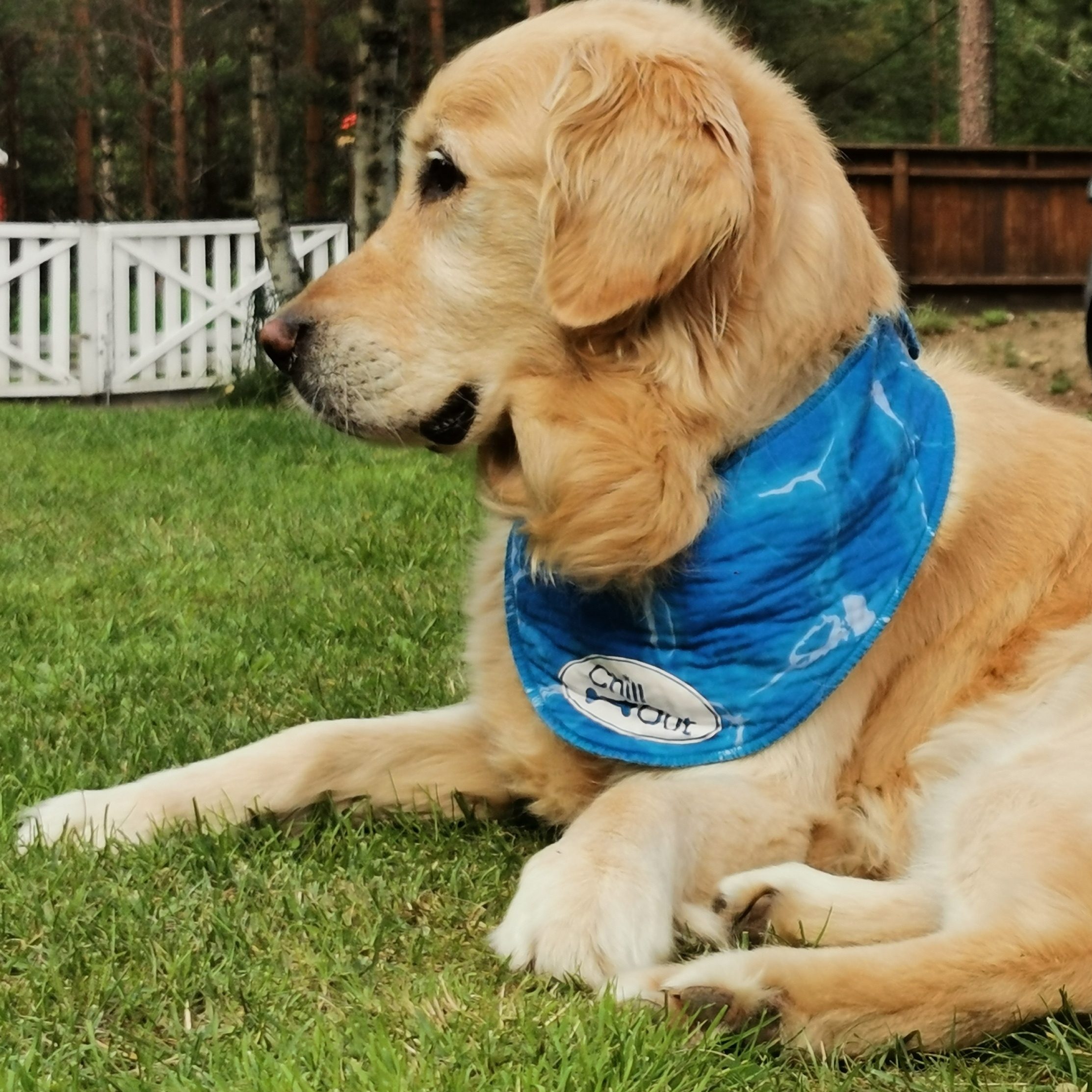 AFP Chill Out Ice Bandana Kjølende Halstørkle Skjerf