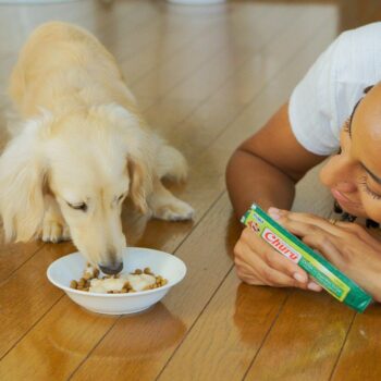 Inaba Churu kyllingsnacks for hund