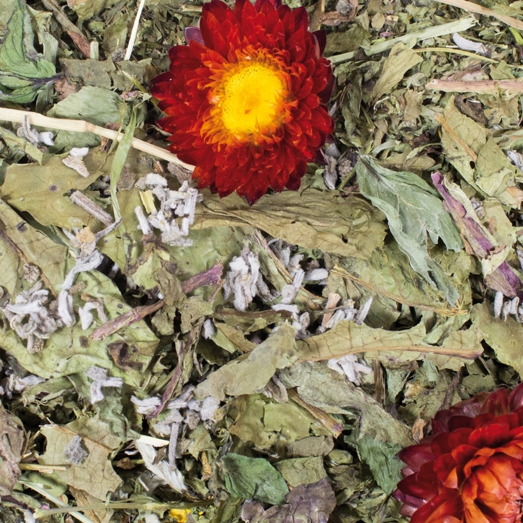 JR Farm grainless plus