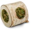 JR Farm trestamme fylt med persille 100gr JR Farm trestamme fylt med persille 100gr
