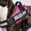 Julius-K9 labelmerker med borrelås Julius-K9 labelmerker med borrelås