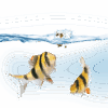 Juwel Foringsautomat EasyFeed Juwel Foringsautomat EasyFeed
