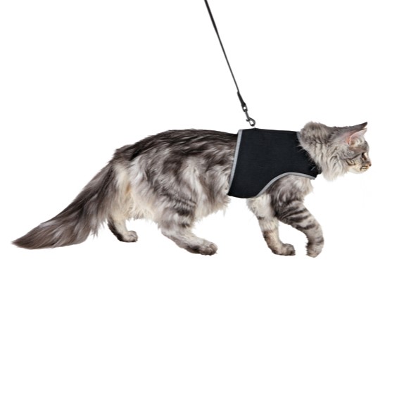 Kattesele soft med kobbel ass farger