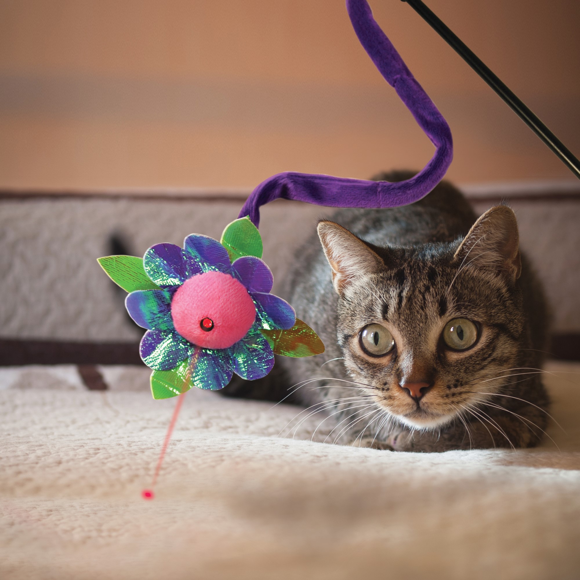 Kong viftepinne Laser Teaser Kong viftepinne Laser Teaser