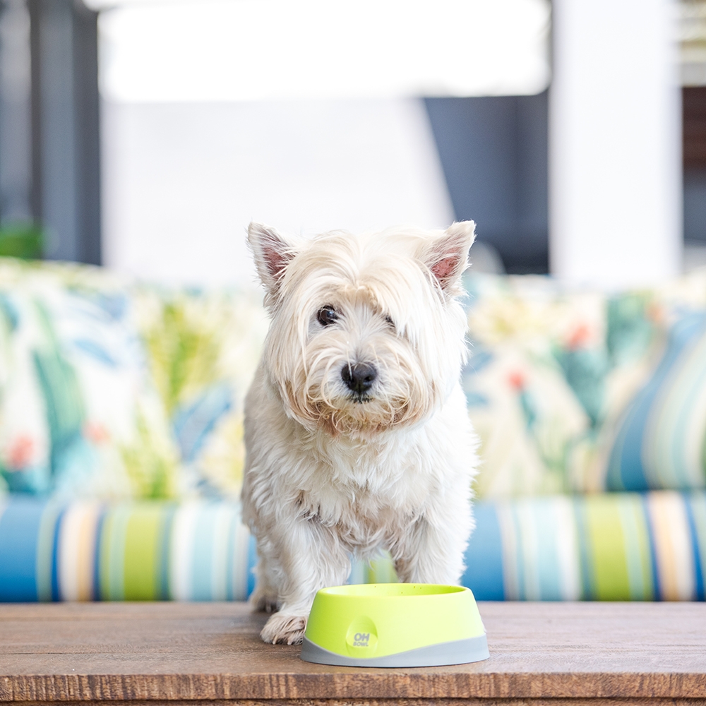 Lickimat OH Bowl Oral Hygiene Hundeskål Munnhygiene Lickimat OH Bowl Oral Hygiene Hundeskål Munnhygiene