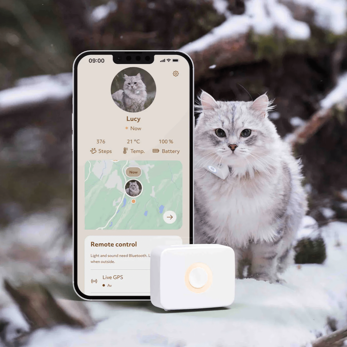 Lilcat sporing og GPS katt Lilcat sporing og GPS katt