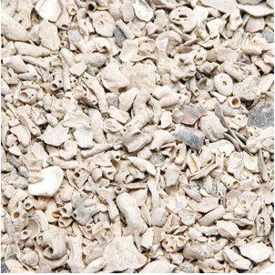 Muslingshell 15kg