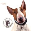 Myfamily Bull terrier IDtag Myfamily Bull terrier IDtag