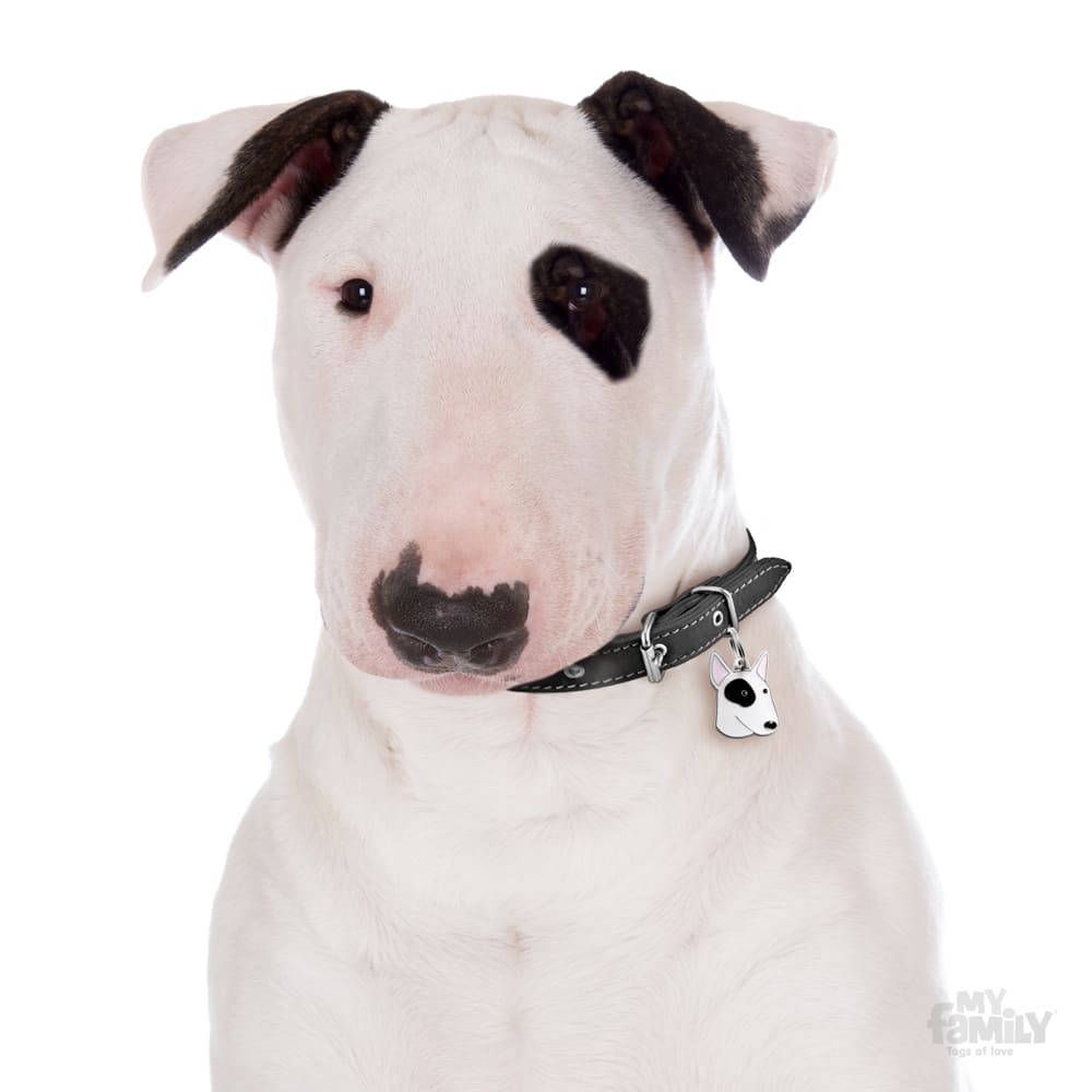 Myfamily Bull terrier IDtag Myfamily Bull terrier IDtag