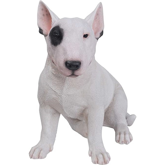 Myfamily Bull terrier IDtag Myfamily Bull terrier IDtag