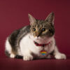 Myfamily Rainbow Hjerte ID tag Myfamily Rainbow Hjerte ID tag