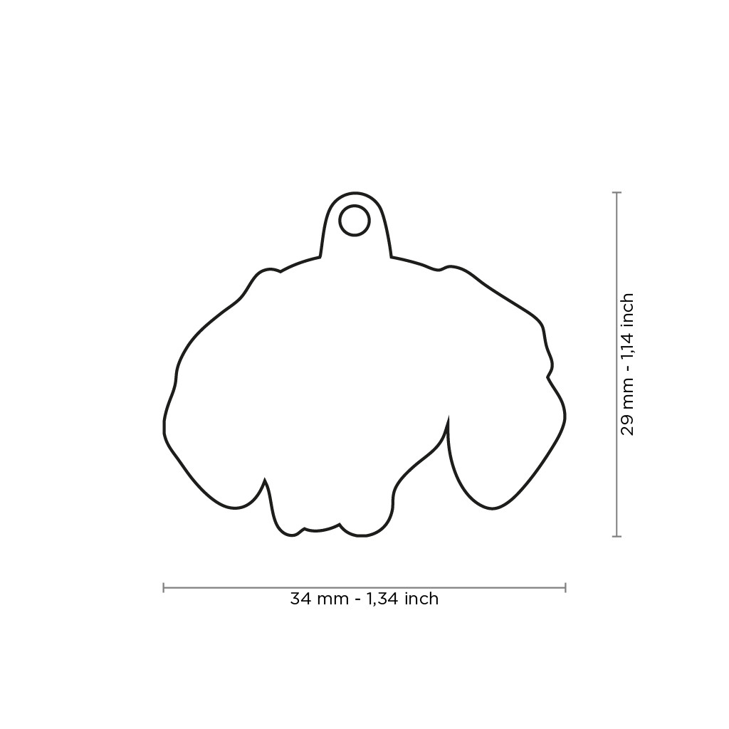 Myfamily Ungarsk vizsla IDtag Myfamily Ungarsk vizsla IDtag