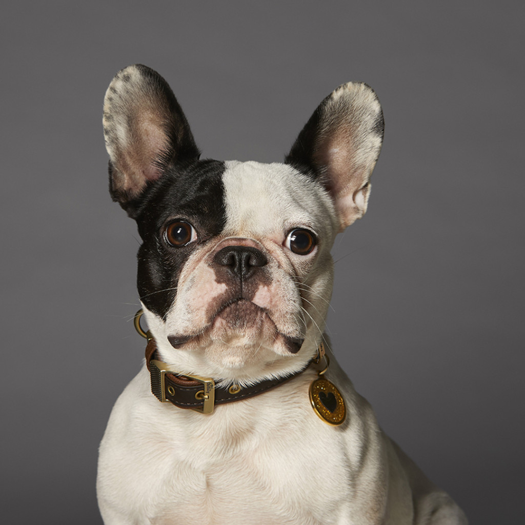 Myfamily hjerte i Shine Circle ID tag