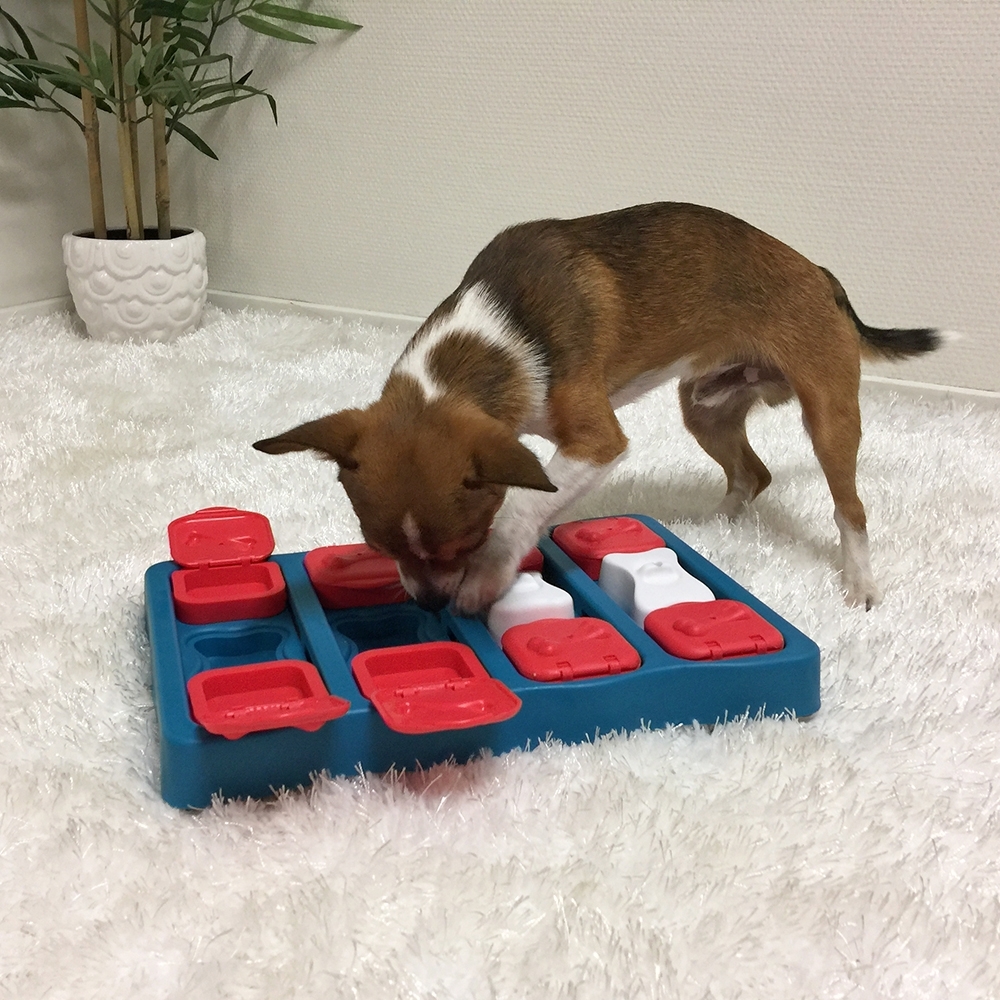 Nina Ottosson Dog Brick Aktivitetsleke Nina Ottosson Dog Brick Aktivitetsleke
