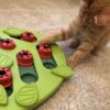 Nina Ottosson Puzzle and Play bugging out Nina Ottosson Puzzle and Play bugging out
