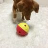 Nina Ottosson Aktivitetsball Treat Tumble Nina Ottosson Aktivitetsball Treat Tumble