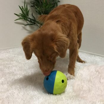 Nina Ottosson Aktivitetsball Treat Tumble