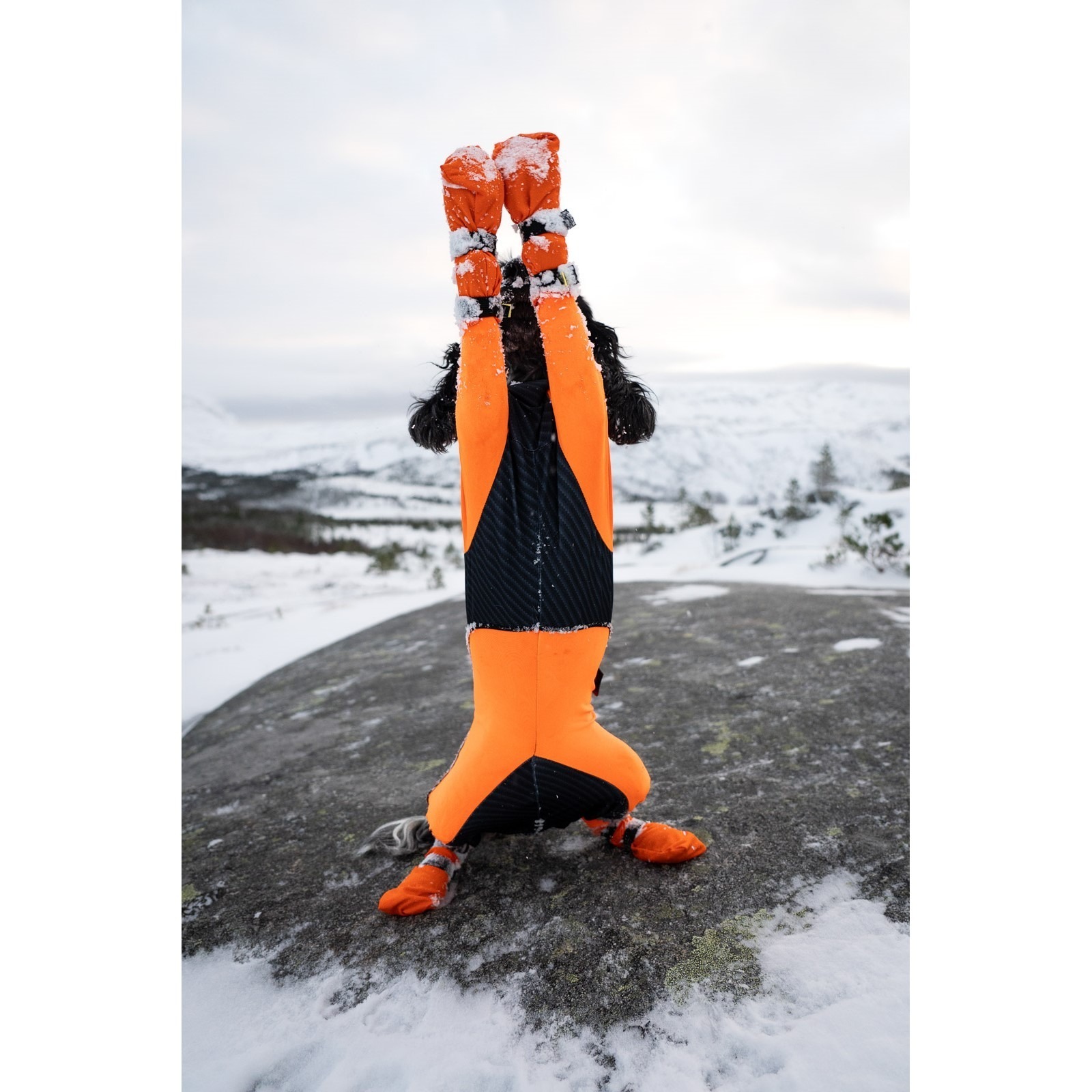 Non-Stop Dogwear Contact Bootie High Høye Potesokker Hund 4pk