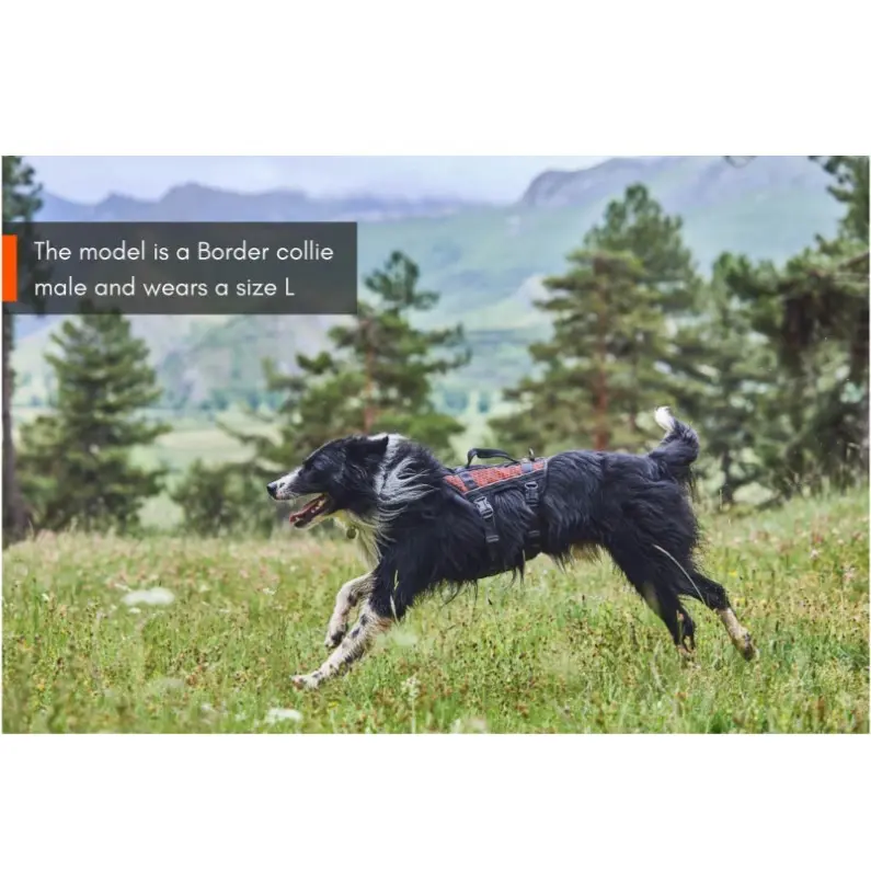 Non-Stop Dogwear Rock Harness Long - Multifunksjonell Hundesele Non-Stop Dogwear Rock Harness Long - Multifunksjonell Hundesele