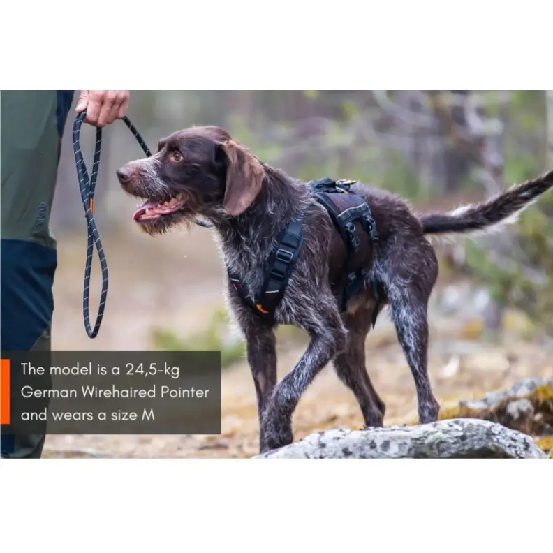Non-Stop Dogwear Rock Harness Long - Multifunksjonell Hundesele Non-Stop Dogwear Rock Harness Long - Multifunksjonell Hundesele