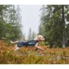 Non-Stop Dogwear Trail Dog Jacket Lett Hundedekken Non-Stop Dogwear Trail Dog Jacket Lett Hundedekken
