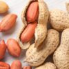 Peanøtter med skall 10 kg Peanøtter med skall 10 kg