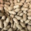 Peanøtter med skall 10 kg Peanøtter med skall 10 kg