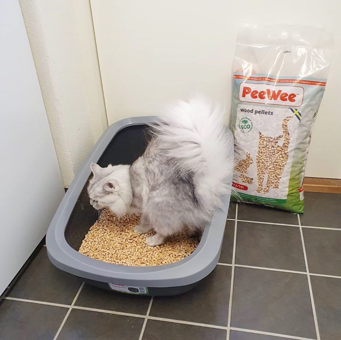 PeeWee EcoGranda Kattetoalett XL