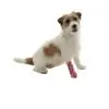 Pet Flex Chew-stop Bandage Pet Flex Chew-stop Bandage