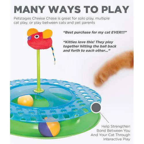 Petstages katteleke Cheese Chase med Catnip Petstages katteleke Cheese Chase med Catnip