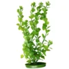 Plastplante Moneywort Plastplante Moneywort