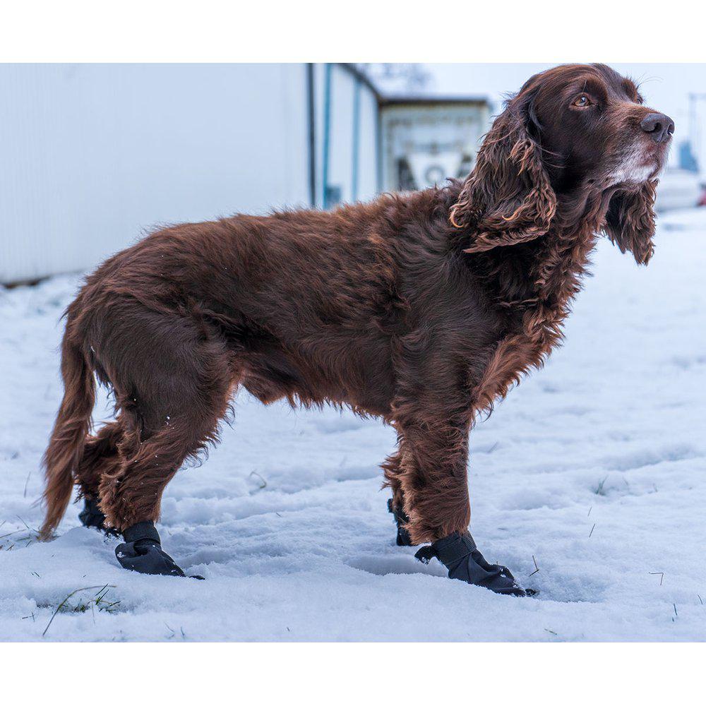 Potesokk hund-Langdistanse sokk hund