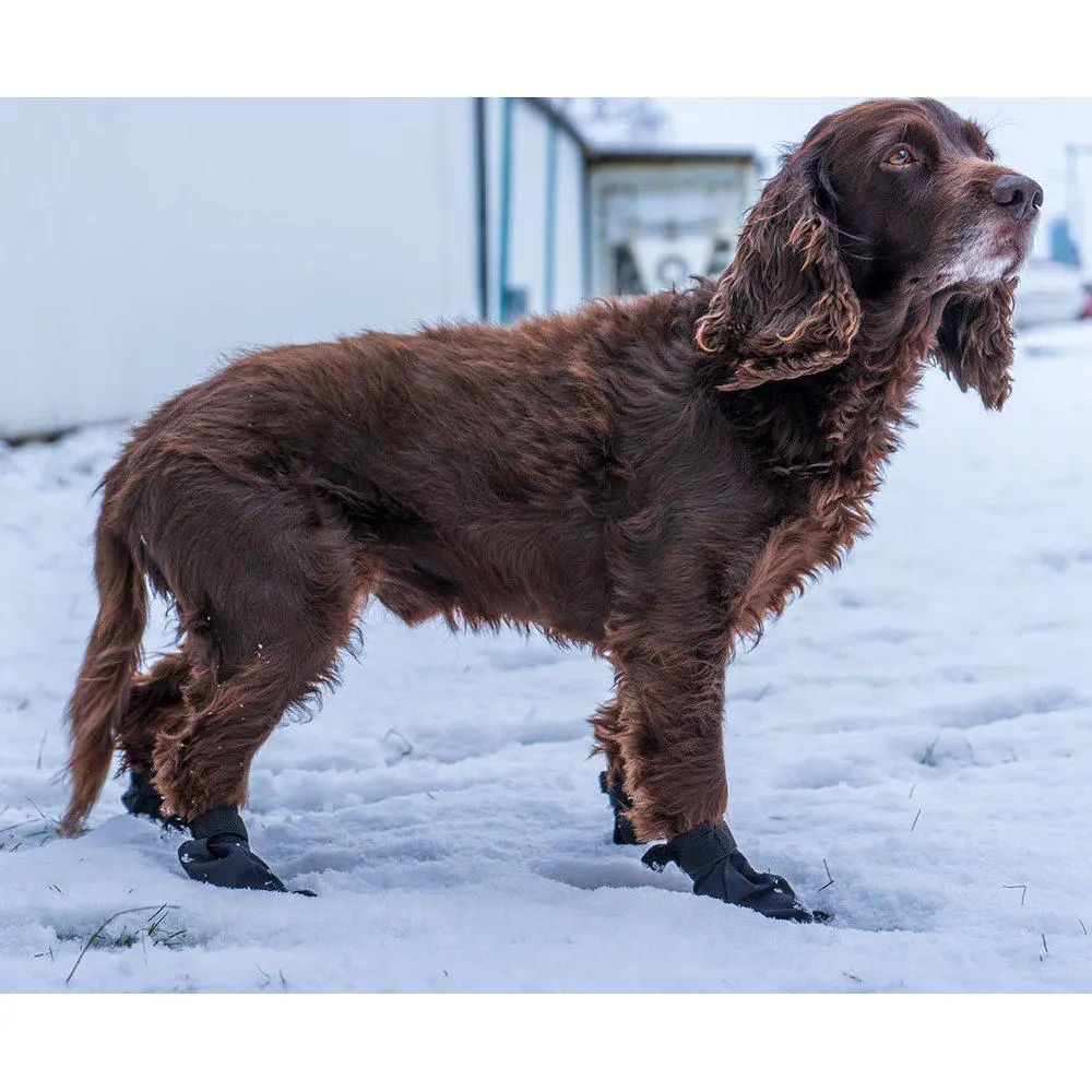 Potesokk hund-Langdistanse sokk hund