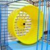 RC Tower Hamster 55x38x62cm