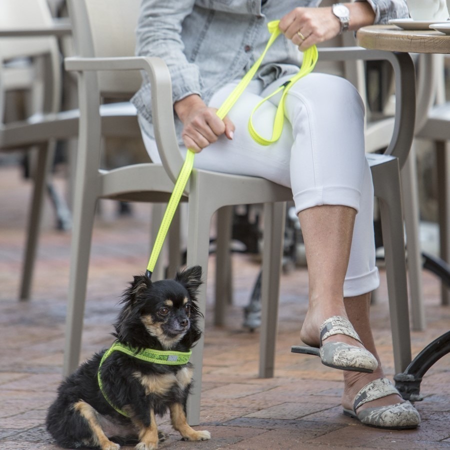 Rogz Utility kobbel (flere farger og størrelser)