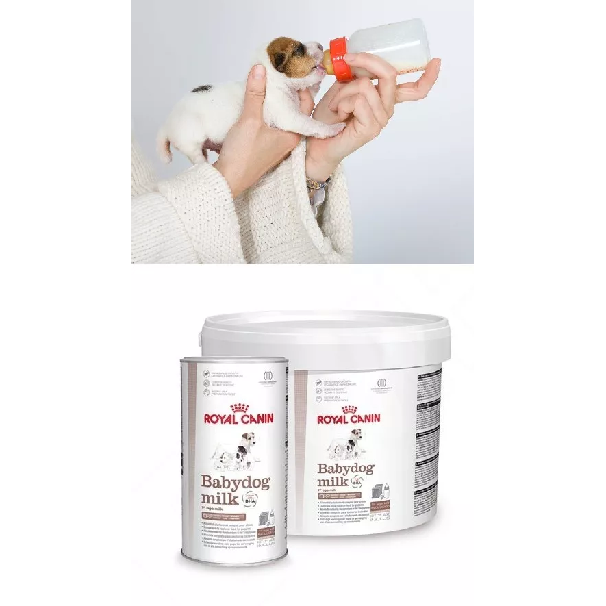 Royal Canin Morsmelkerstatning 400g Royal Canin Morsmelkerstatning 400g