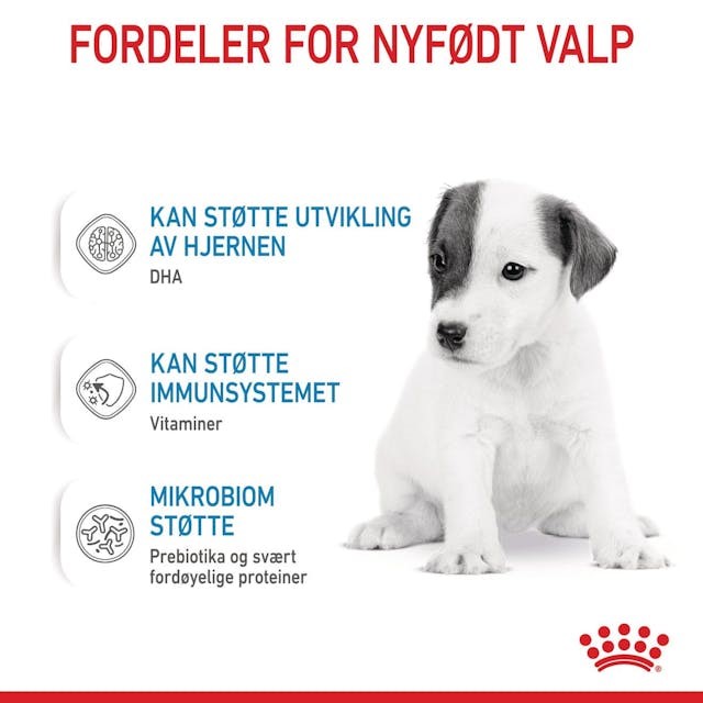 Royal Canin Morsmelkerstatning 400g Royal Canin Morsmelkerstatning 400g