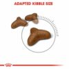 Royal Canin Weight Care Royal Canin Weight Care