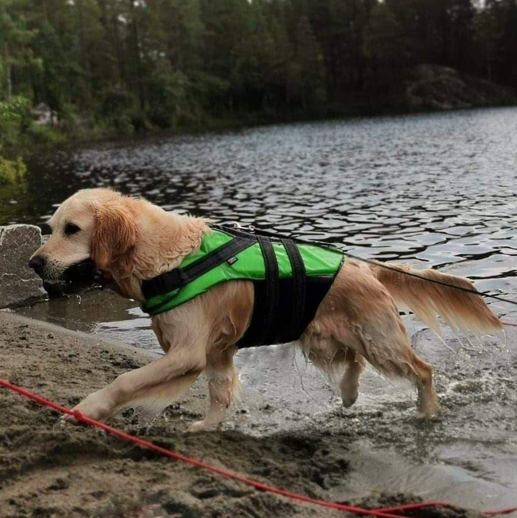 Rukka Flytevest Redningsvest Hund