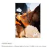 Non-Stop Dogwear Safe Life Jacket 2.0 Flytevest Svømmevest Hund Non-Stop Dogwear Safe Life Jacket 2.0 Flytevest Svømmevest Hund