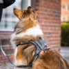 Seleverkstedet Comfort dog harness Seleverkstedet Comfort dog harness