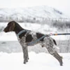 Seleverkstedet Trekreg dog harness Seleverkstedet Trekreg dog harness