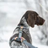 Seleverkstedet Trekreg dog harness Seleverkstedet Trekreg dog harness