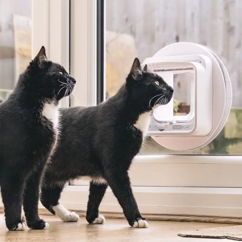 Sureflap Mikrochip Cat Door Connect Katteluke Sureflap Mikrochip Cat Door Connect Katteluke