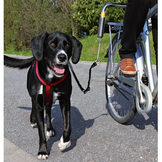Sykkelfeste til liten og mellomstor hund