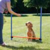 Trixie Agility hund Hurdle Hopphinder Trixie Agility hund Hurdle Hopphinder