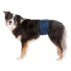 Trixie magebelte for hannhund Trixie magebelte for hannhund