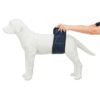 Trixie magebelte for hannhund Trixie magebelte for hannhund
