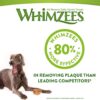 Whimzees Toothbrush-Tannbørste til hund Whimzees Toothbrush-Tannbørste til hund