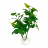 Zoo Med Betta Plantphilo Zoo Med Betta Plantphilo